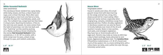 Bird Finder | Media Mercantile: White-breasted Nuthatch upside down on tree and House Wren illustration for bird identification.