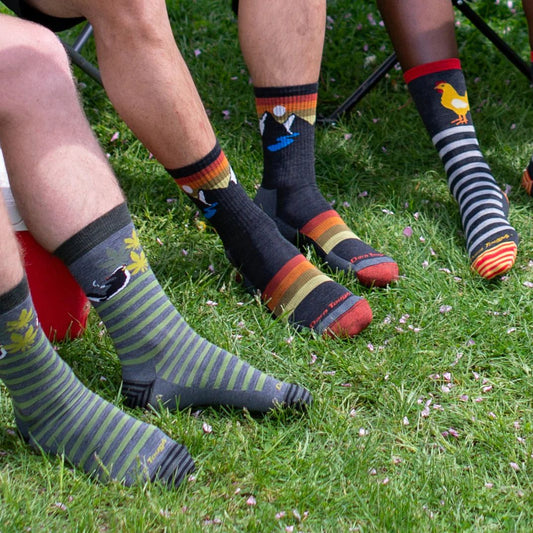 Men's Sunset Ridge Micro Crew Darn Tough socks with mountain and sunset design, worn on green grass with other patterned socks.