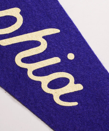 Philadelphia Pennant • United By Blue x True Hand Society x Oxford Pennant Original
