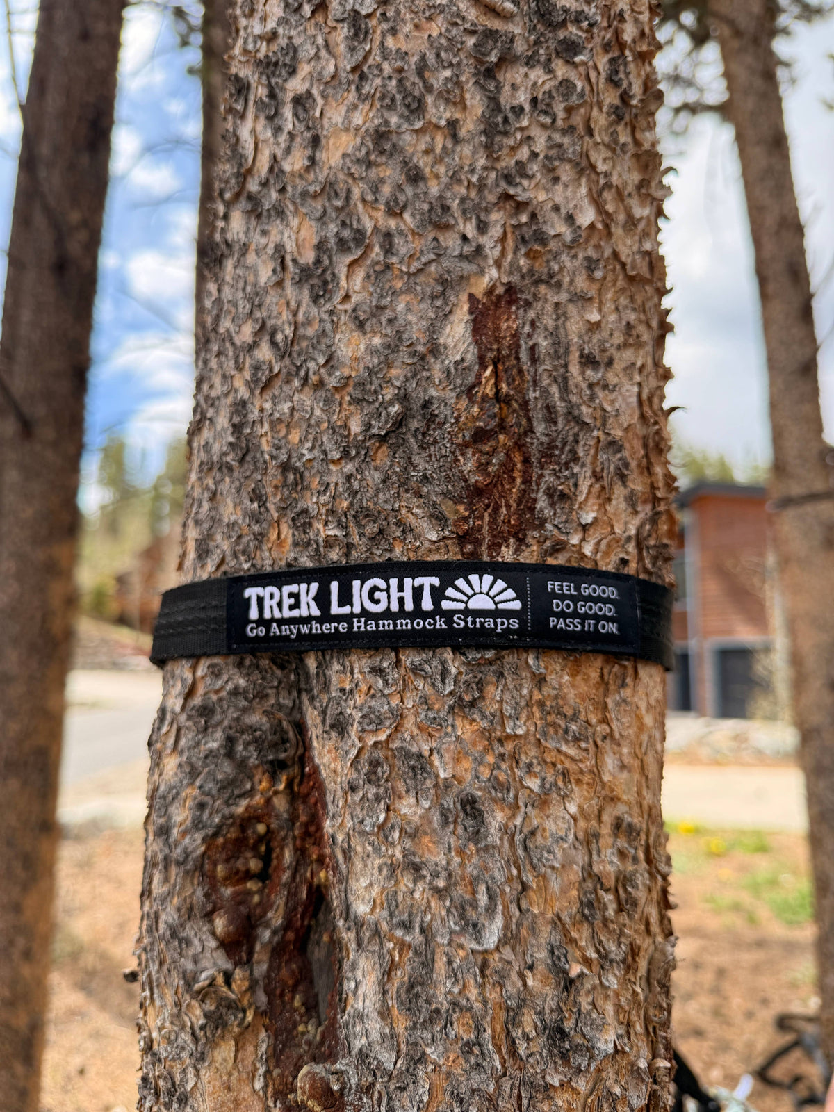 Go Anywhere Pro Hammock Hanging Straps | Home or Camping Use