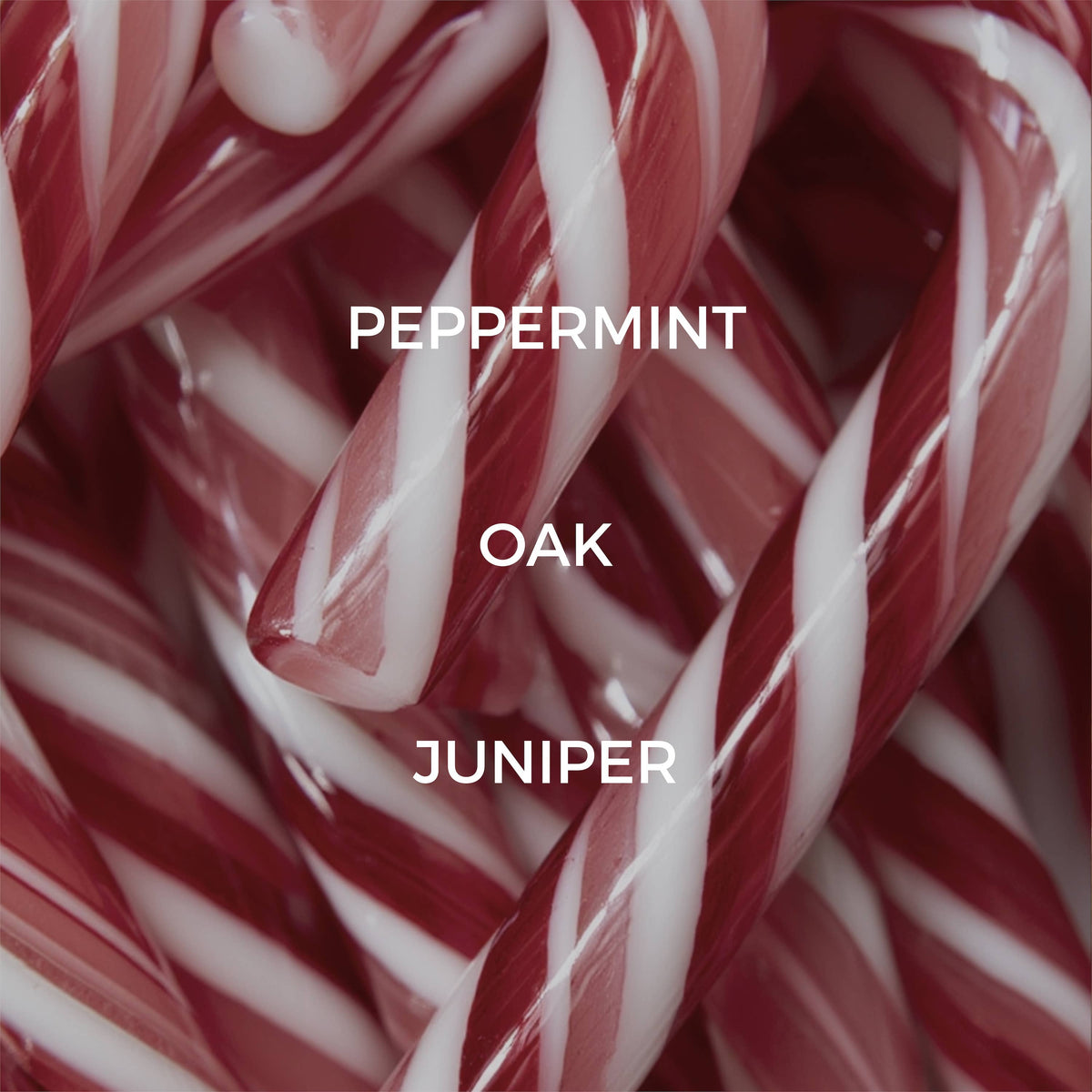 Peppermint Twist Mini Candle - FALL / HOLIDAY
