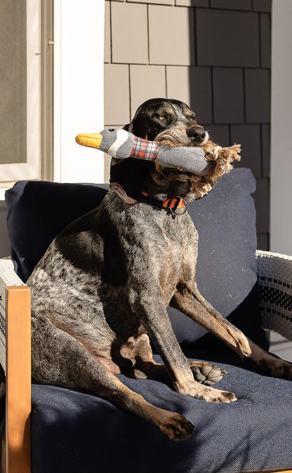 Plaid Duck Dog Toy