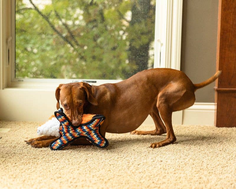 Sly Fox - Lined Dog Toy