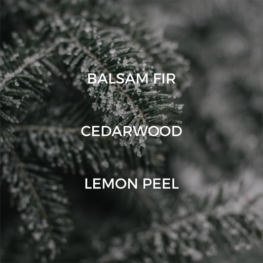 Fir Needle Candle - FALL / HOLIDAY