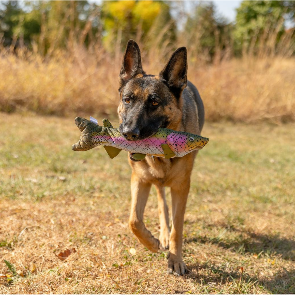 Rainbow Trout Lined Dog Toy