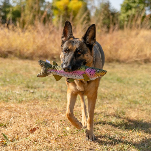 Rainbow Trout Lined Dog Toy
