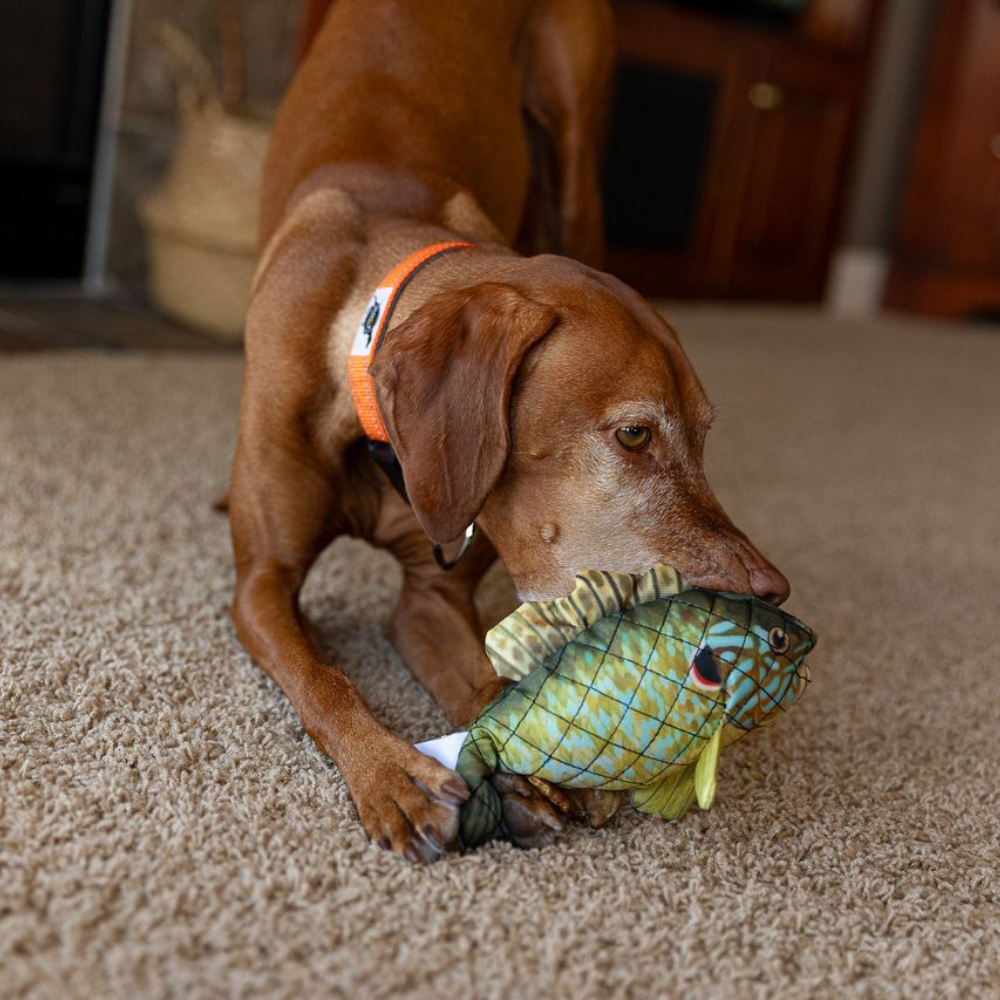 Sunfish Lined Dog Toy