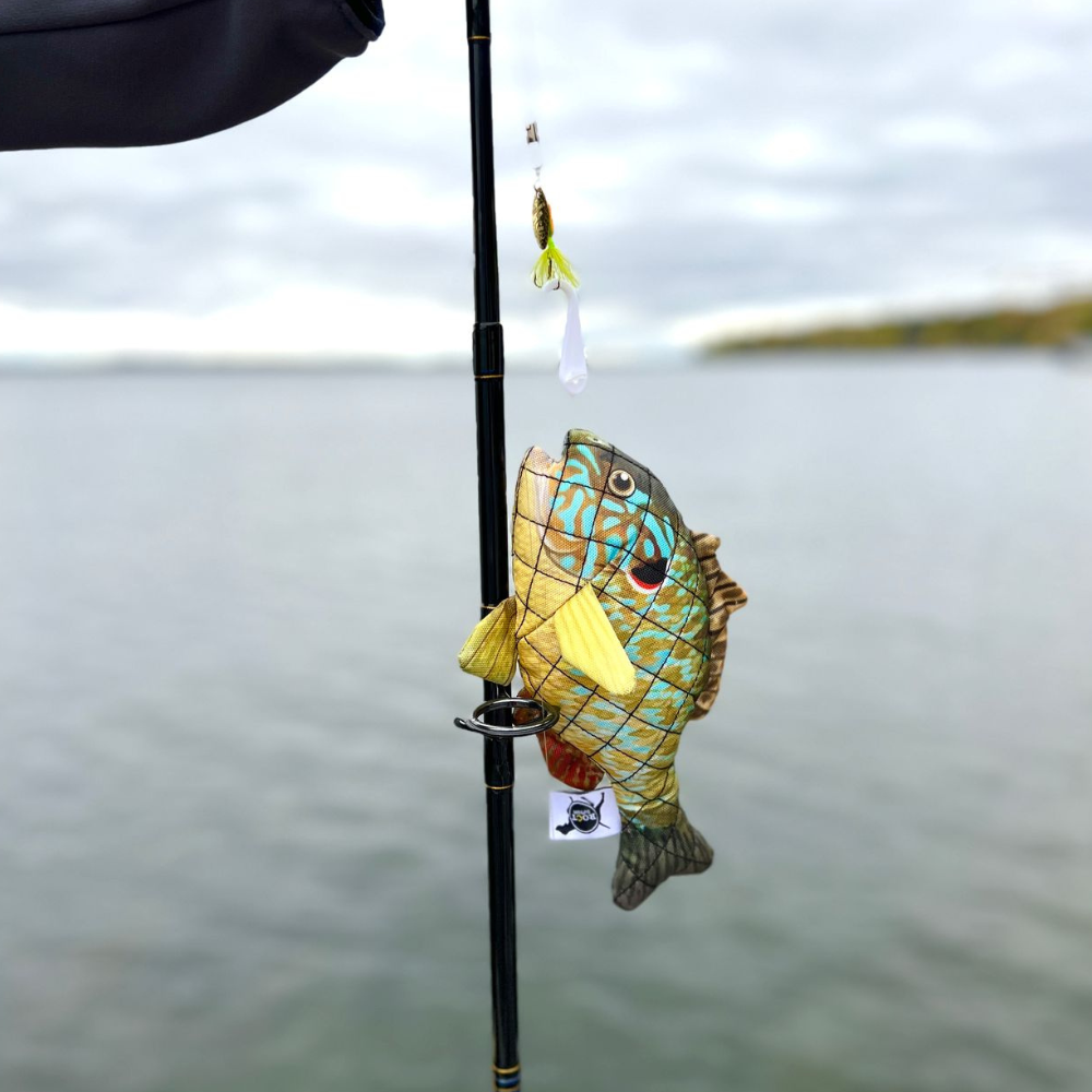 Sunfish Lined Dog Toy