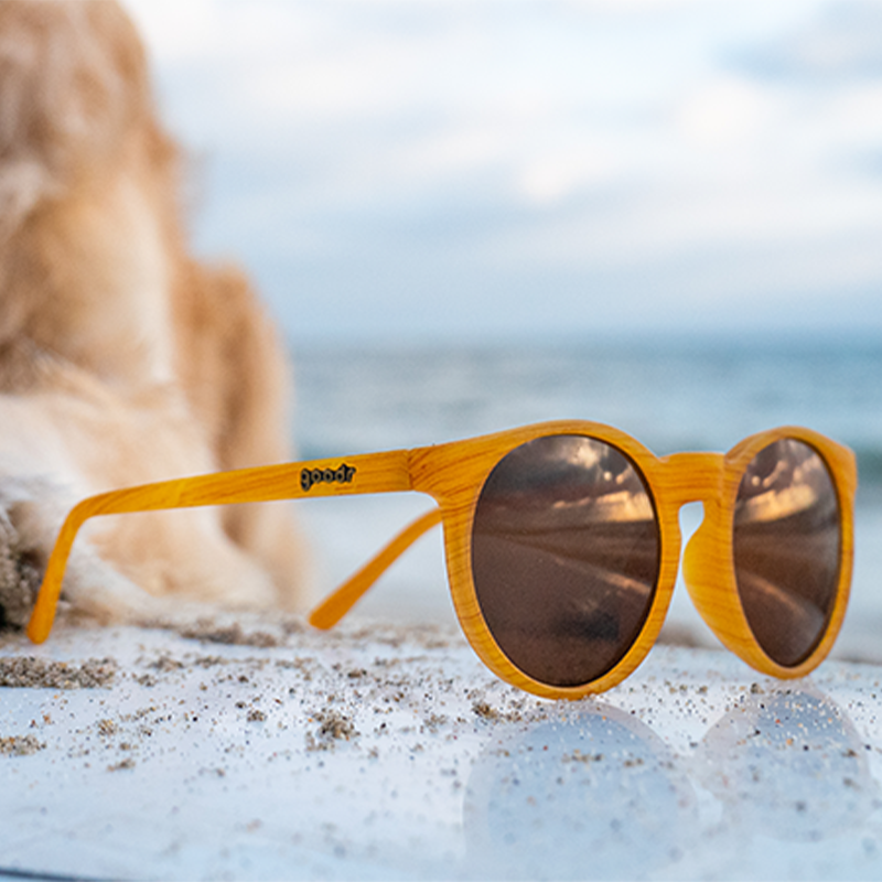 Bodhi's Ultimate Ride goodr wood-grain sunglasses on a sandy beach with the ocean and a golden retriever.