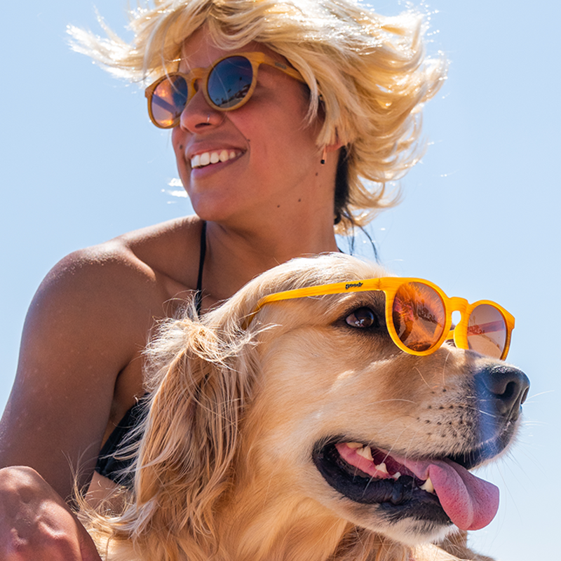 Woman smiles, holding a Golden Retriever wearing "Bodhi's Ultimate Ride | goodr" yellow-orange sunglasses.