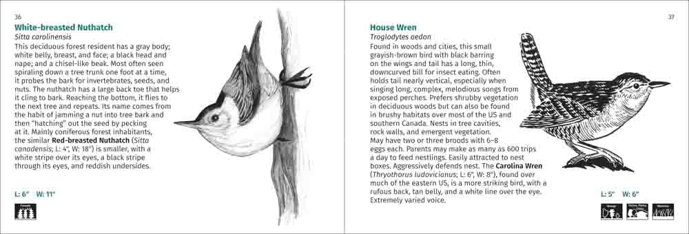 Bird Finder | Media Mercantile: White-breasted Nuthatch upside down on tree and House Wren illustration for bird identification.