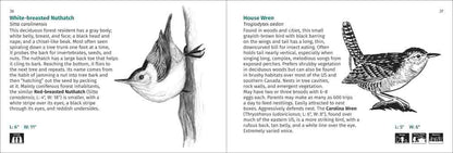 Bird Finder | Media Mercantile: White-breasted Nuthatch upside down on tree and House Wren illustration for bird identification.