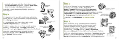 Mushroom Finder | Media Mercantile - detailed guide with illustrations for identifying different types of pore mushrooms (boletes, polypores, conks).