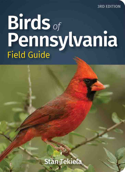 Cover of 'Birds of Pennsylvania Field Guide' from Media Mercantile, featuring a vibrant red Northern Cardinal bird on a branch.