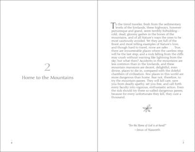 Meditations of John Muir | Media Mercantile book open to 'Home to the Mountains' chapter, with text and a small flower illustration.