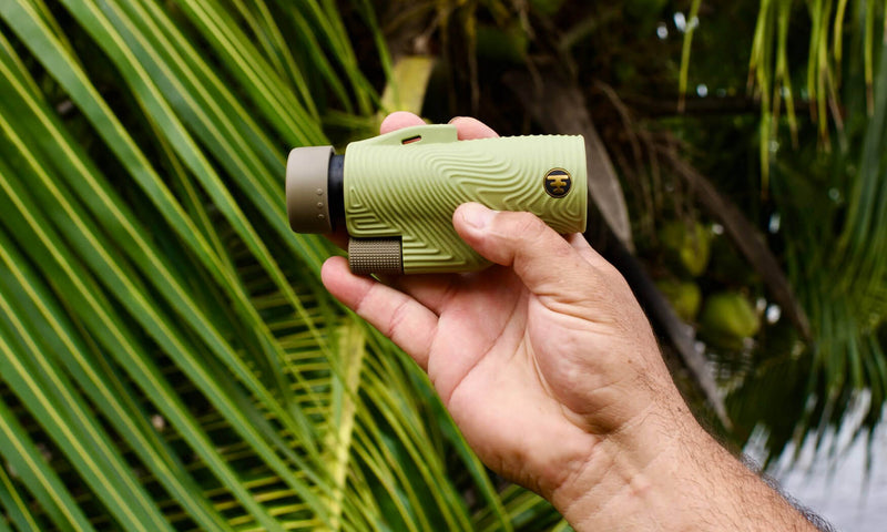 Hand holding a green Nocs Provisions Field Tube 32mm Monocular with a textured grip against a palm tree background.